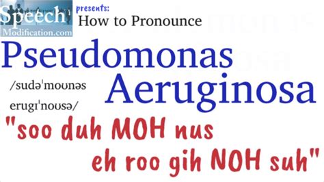 aeruginosa pronunciation|how to identify pseudomonas aeruginosa.